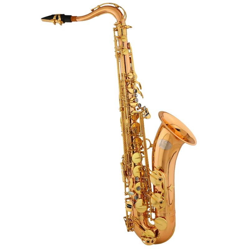 JBTS-1010降B調(diào)次中音薩克斯85銅薩克斯   價格  ￥6900.00              JBTS-1010調(diào)性：Bb材質(zhì)：85銅表面處理：漆金號口直徑：159.6mm