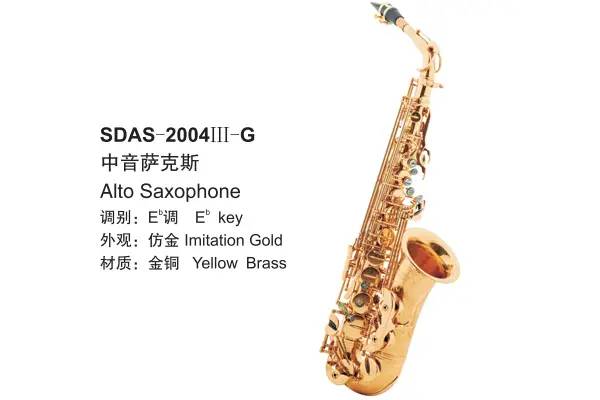 SDAS-2004